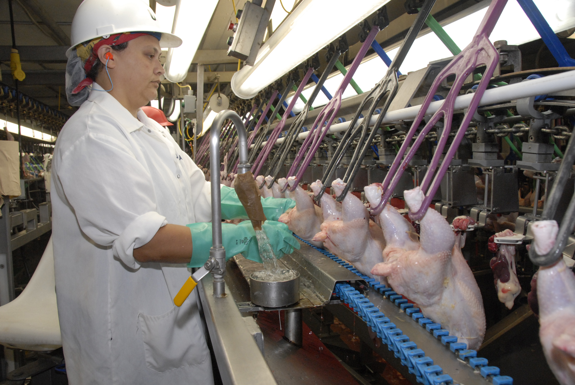 Fiche Métier Opérateur De Fabrication Agroalimentaire